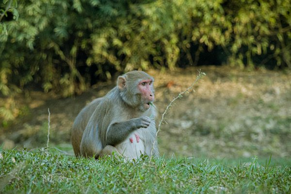 L'isolation par insufflation : une solution économique et efficace